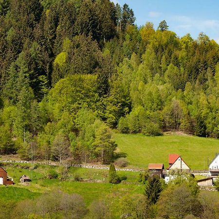 Hotel Petra Baiersbronn Kültér fotó