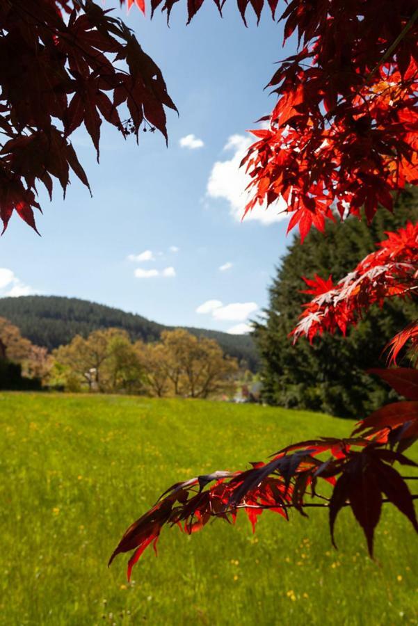 Hotel Petra Baiersbronn Szoba fotó