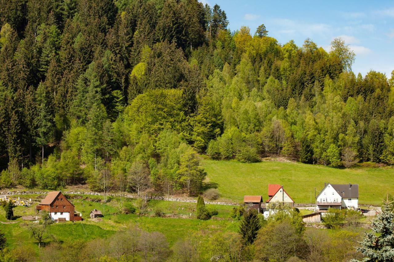 Hotel Petra Baiersbronn Kültér fotó