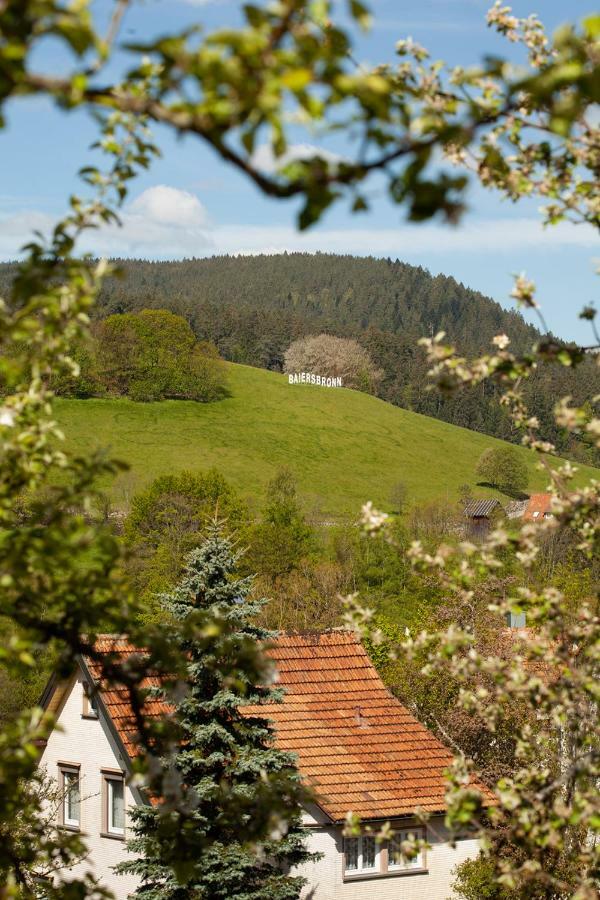 Hotel Petra Baiersbronn Kültér fotó