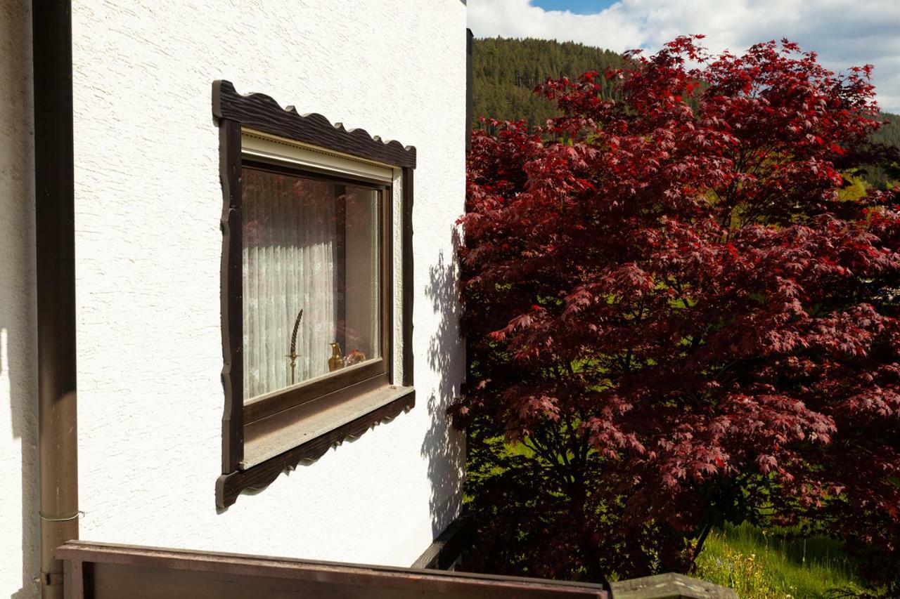Hotel Petra Baiersbronn Kültér fotó