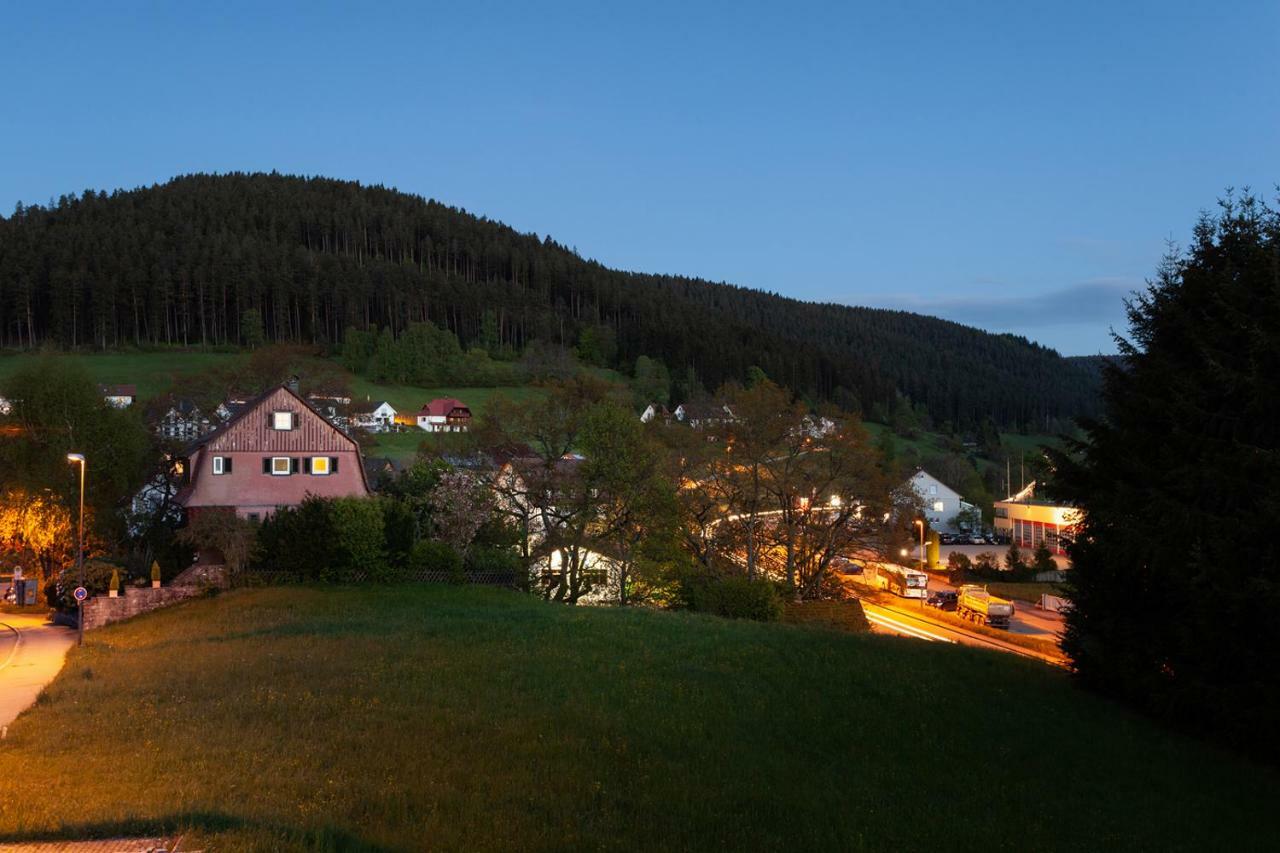 Hotel Petra Baiersbronn Kültér fotó
