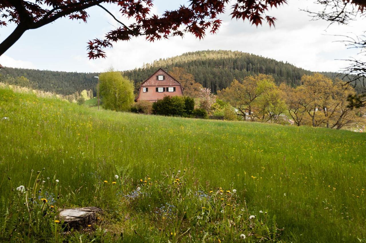 Hotel Petra Baiersbronn Kültér fotó